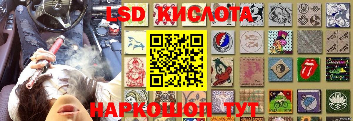 Марки 25I-NBOMe 1,5мг Чернушка