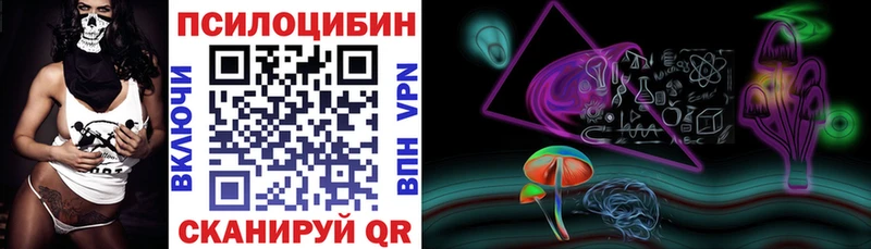 даркнет сайт  Чернушка  Псилоцибиновые грибы MAGIC MUSHROOMS 