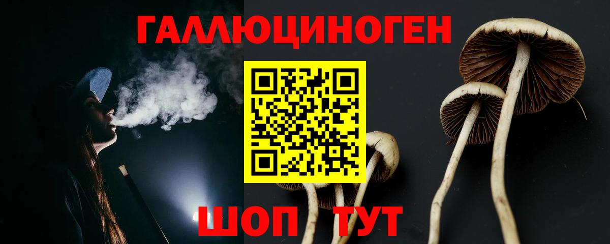 Псилоцибиновые грибы MAGIC MUSHROOMS  Вход с VPN  Чернушка 
